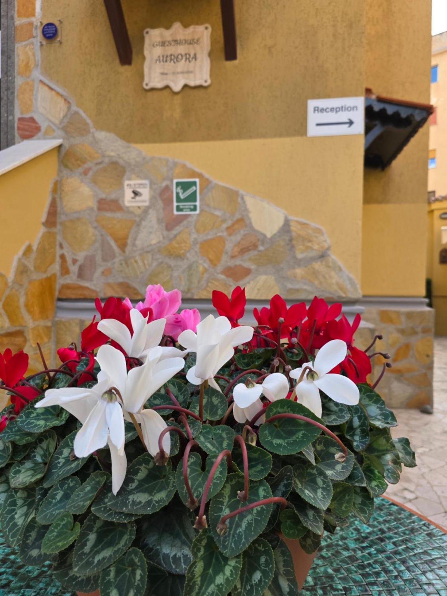 Guesthouse Aurora A.E. Roma Exterior foto
